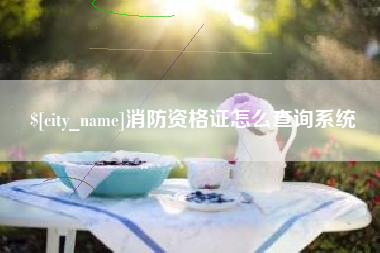 范县消防资格证怎么查询系统