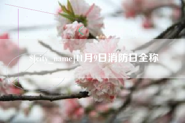 范县11月9日消防日全称