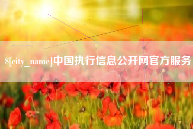 范县中国执行信息公开网官方服务