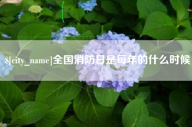 范县全国消防日是每年的什么时候