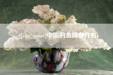 范县中国的金牌有几名