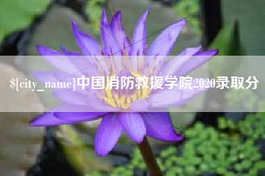 范县中国消防救援学院2020录取分