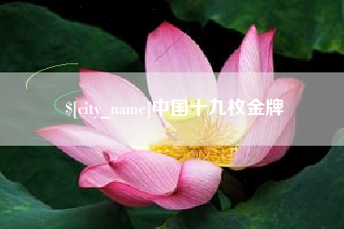 范县中国十九枚金牌