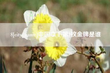范县中国拿下第9枚金牌是谁