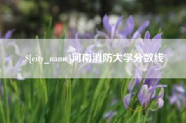 范县河南消防大学分数线