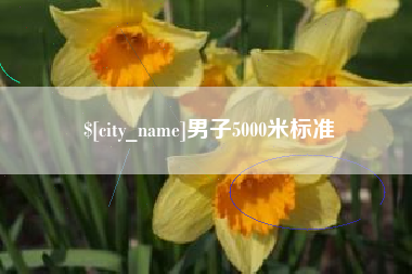 范县男子5000米标准