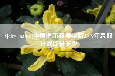 范县中国消防救援学院2019年录取分数线是多少