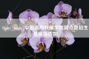 范县中国消防救援学院简介及招生章程指挥部