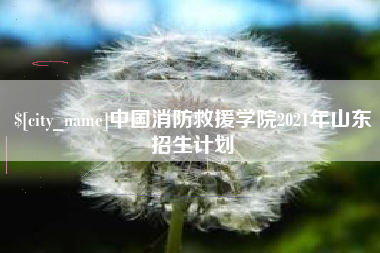 范县中国消防救援学院2021年山东招生计划