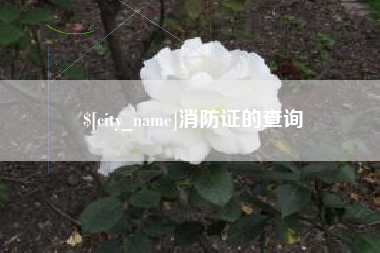 范县消防证的查询