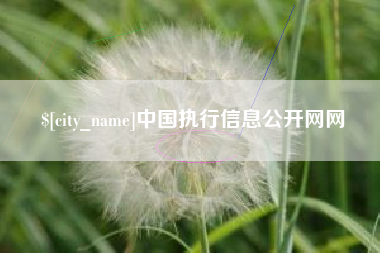 范县中国执行信息公开网网