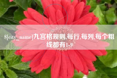 范县九宫格规则,每行,每列,每个粗线都有1-9