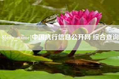范县中国执行信息公开网 综合查询