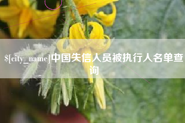 范县中国失信人员被执行人名单查询