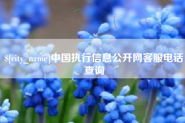 范县中国执行信息公开网客服电话查询