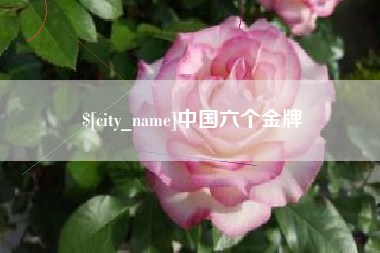 范县中国六个金牌
