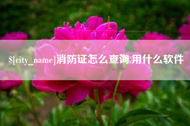 范县消防证怎么查询,用什么软件