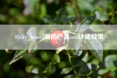 范县消防产品cccf认证目录