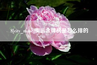 范县奥运金牌榜是怎么排的
