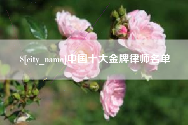 范县中国十大金牌律师名单
