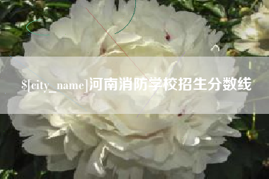 范县河南消防学校招生分数线
