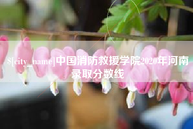 范县中国消防救援学院2020年河南录取分数线