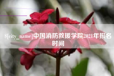 范县中国消防救援学院2021年报名时间