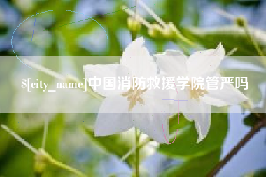 范县中国消防救援学院管严吗