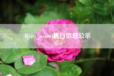 范县执行信息公示
