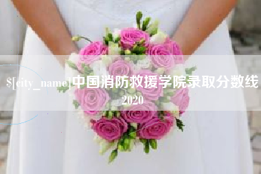 范县中国消防救援学院录取分数线2020