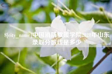 范县中国消防救援学院2021年山东录取分数线是多少