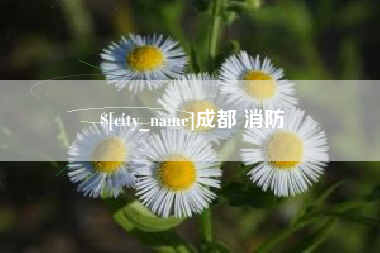 范县成都 消防