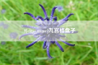范县九宫格盘子