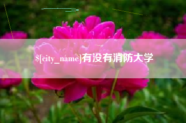 范县有没有消防大学