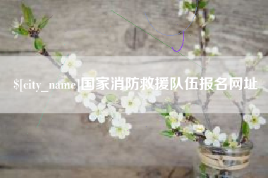 范县国家消防救援队伍报名网址
