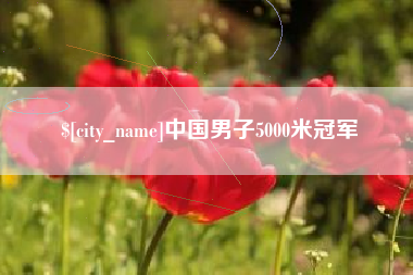 范县中国男子5000米冠军