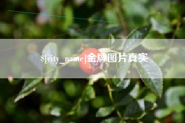 范县金牌图片真实