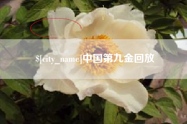 范县中国第九金回放