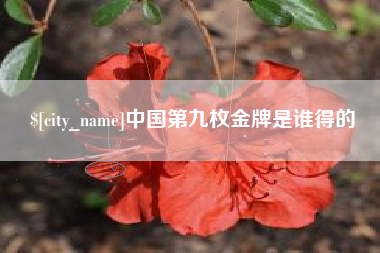 范县中国第九枚金牌是谁得的