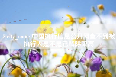 范县中国执行信息公开网查不到被执行人是不是已解除限高