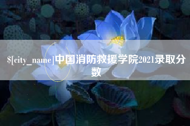 范县中国消防救援学院2021录取分数