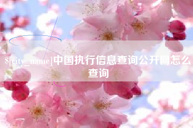 范县中国执行信息查询公开网怎么查询