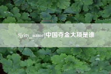 范县中国夺金大项是谁