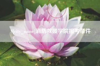 范县消防救援学院报考条件