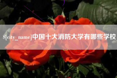 范县中国十大消防大学有哪些学校