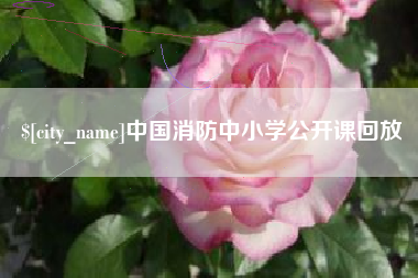 范县中国消防中小学公开课回放