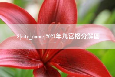 范县2021年九宫格分解图