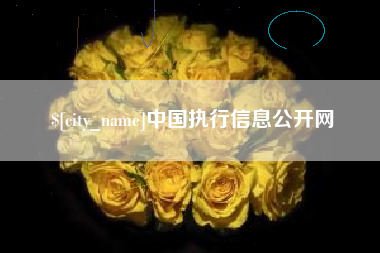 范县中国执行信息公开网