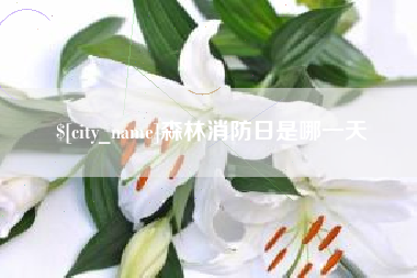 范县森林消防日是哪一天