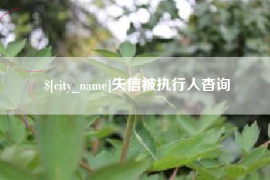 范县失信被执行人杳询